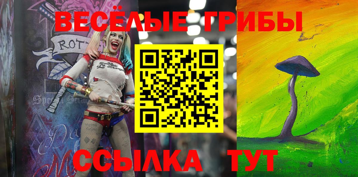Славянск-на-Кубани  Псилоцибиновые грибы прущие грибы  Вход с VPN  Псилоцибиновые грибы прущие грибы 